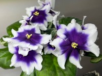 КТ-Северное Озеро